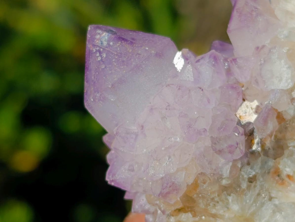 Natural Spirit Amethyst Clusters x 12 From Boekenhouthoek, South Africa