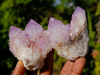 Natural Spirit Amethyst Clusters x 12 From Boekenhouthoek, South Africa