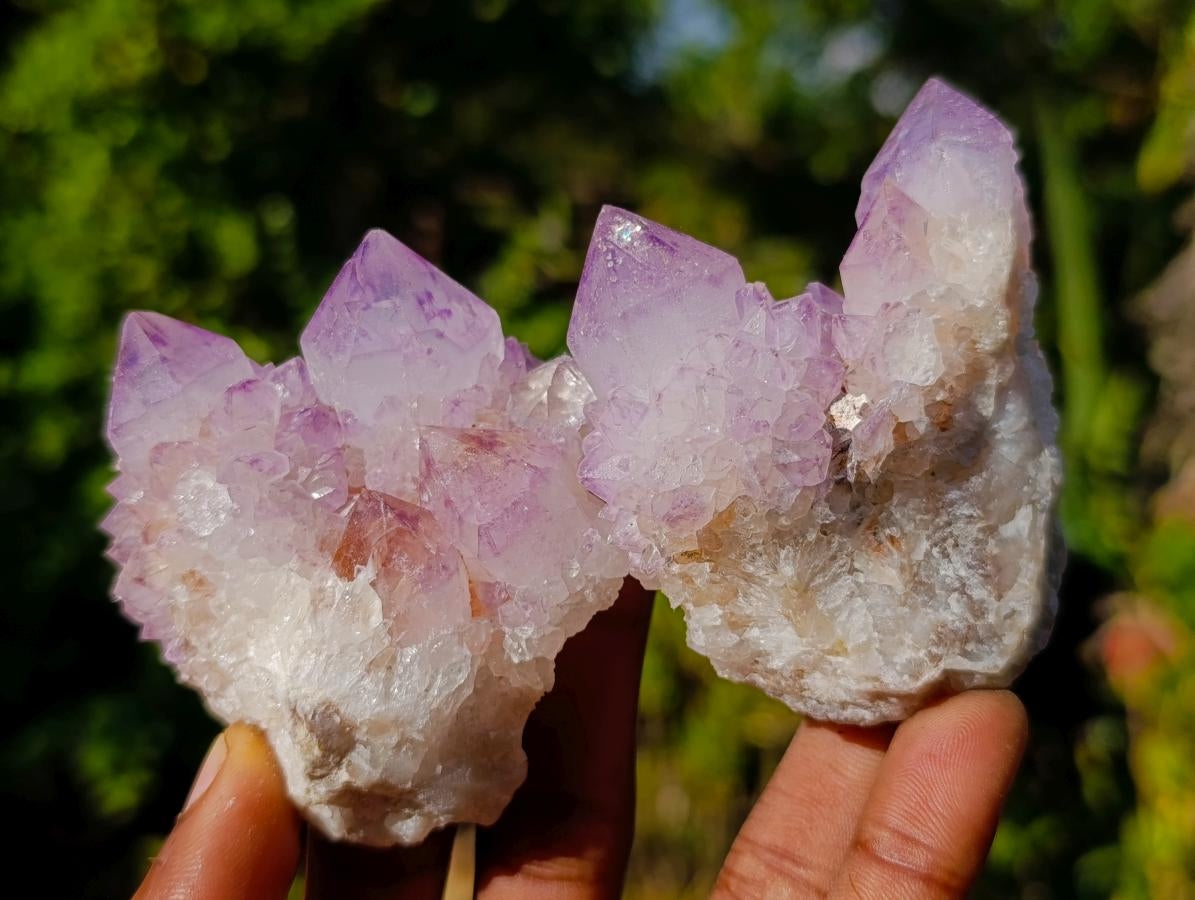 Natural Spirit Amethyst Clusters x 12 From Boekenhouthoek, South Africa