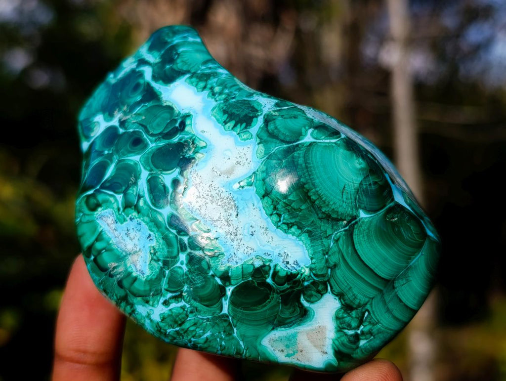Polished Malacolla Free Forms x 4 From Kulukuluku, Congo