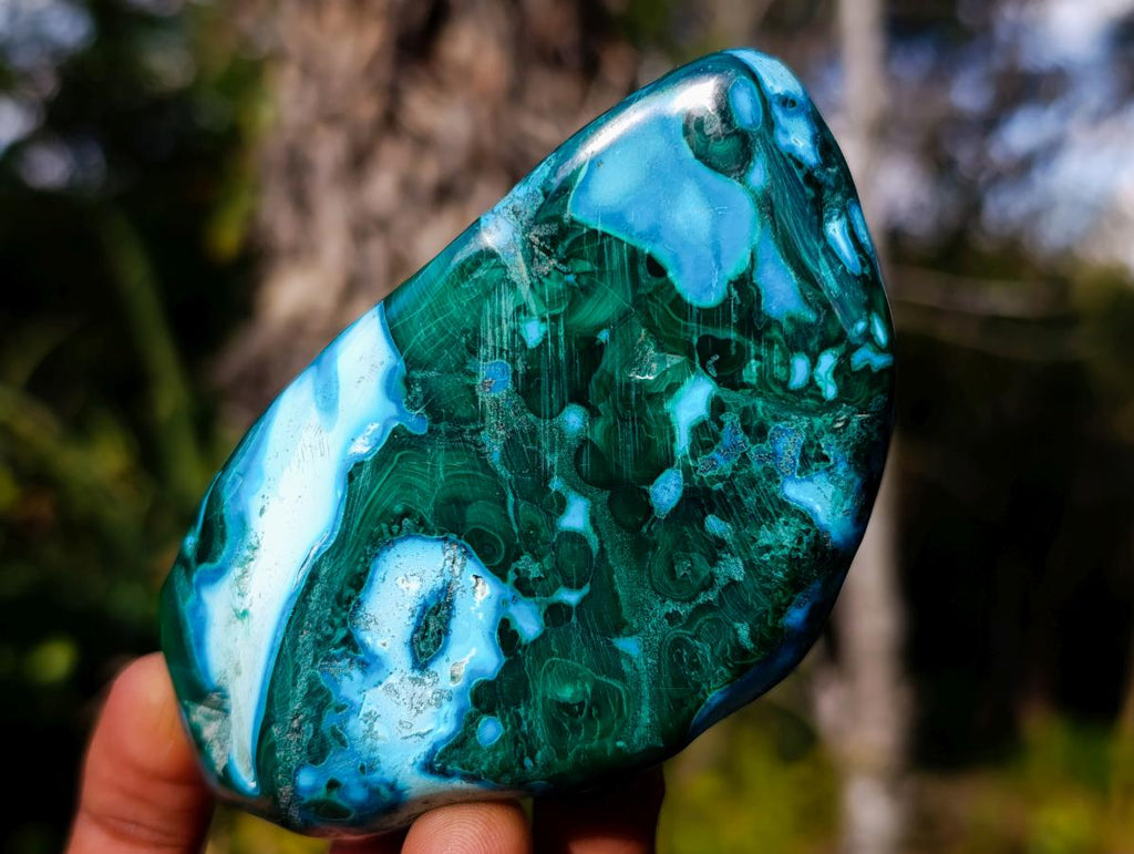 Polished Malacolla Free Forms x 4 From Kulukuluku, Congo
