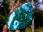 Polished Malacolla Free Forms x 4 From Kulukuluku, Congo