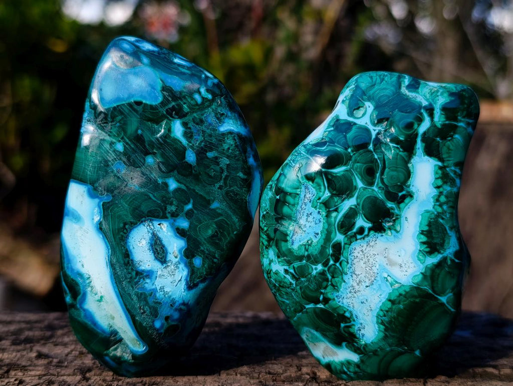 Polished Malacolla Free Forms x 4 From Kulukuluku, Congo