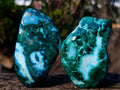 Polished Malacolla Free Forms x 4 From Kulukuluku, Congo