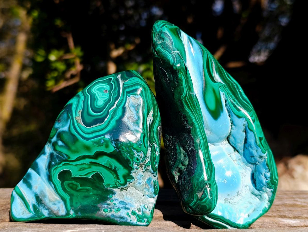 Polished Malacolla Free Forms x 4 From Kulukuluku, Congo