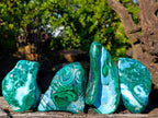 Polished Malacolla Free Forms x 4 From Kulukuluku, Congo