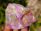 Natural Small Cobbed Stichtite Specimens x 35 From Barberton, South Africa - Toprock Gemstones and Minerals 