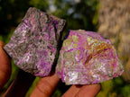 Natural Small Cobbed Stichtite Specimens x 35 From Barberton, South Africa - Toprock Gemstones and Minerals 