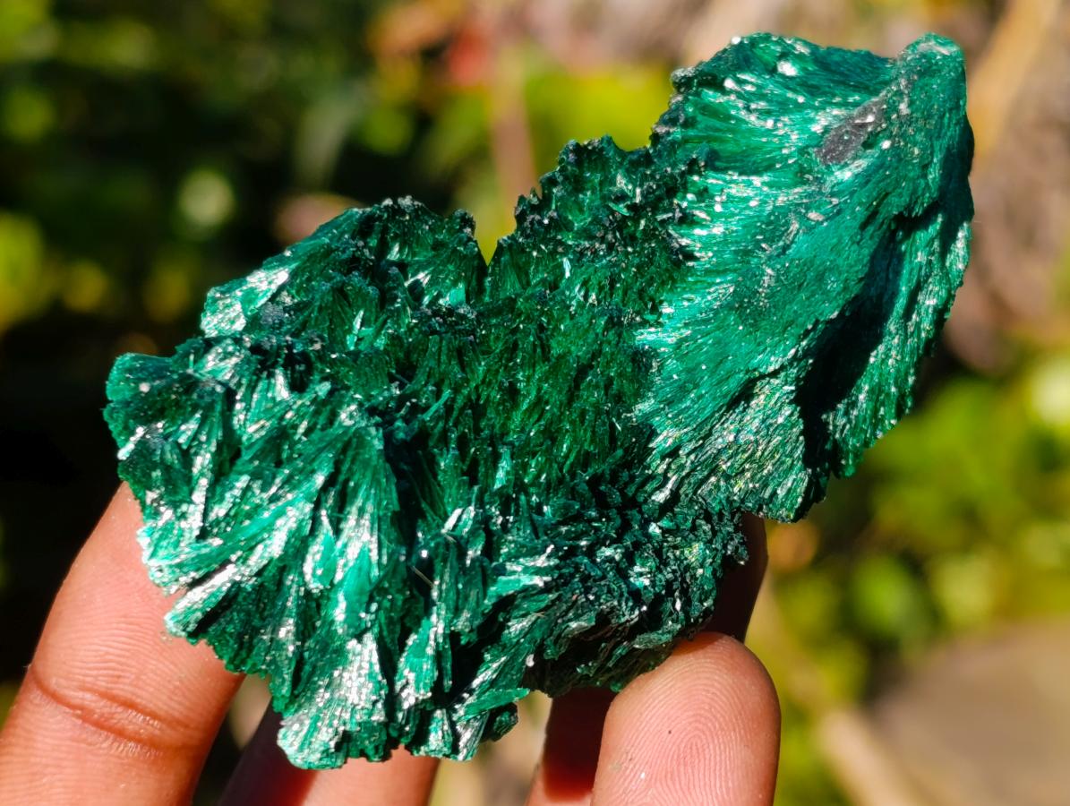 Natural Silky Malachite Specimens x 12 From Kasompe, Congo