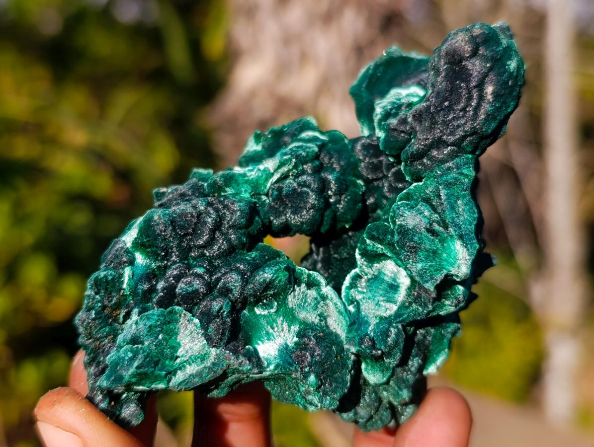 Natural Silky Malachite Specimens x 12 From Kasompe, Congo