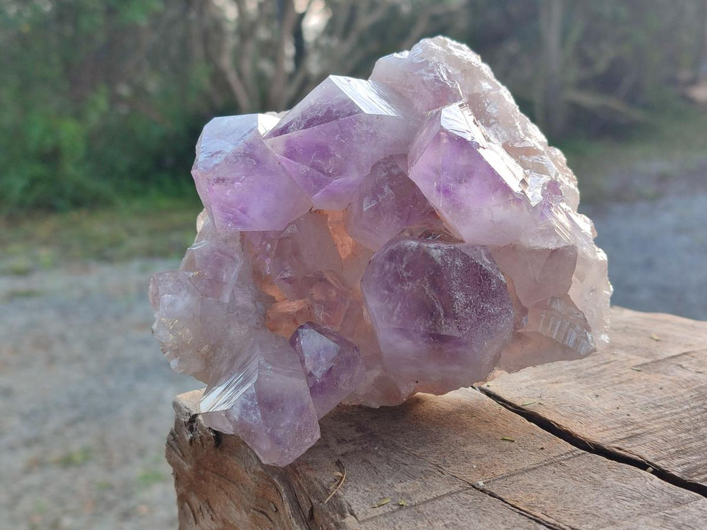 Natural Jacaranda Amethyst Clusters x 2 From Mumbwa, Zambia - Toprock Gemstones and Minerals 