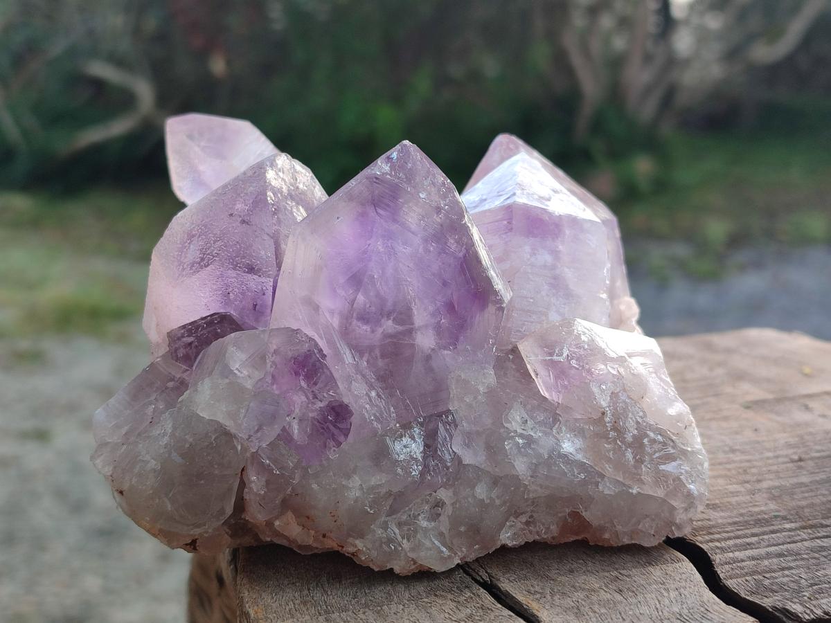 Natural Jacaranda Amethyst Clusters x 2 From Mumbwa, Zambia - Toprock Gemstones and Minerals 