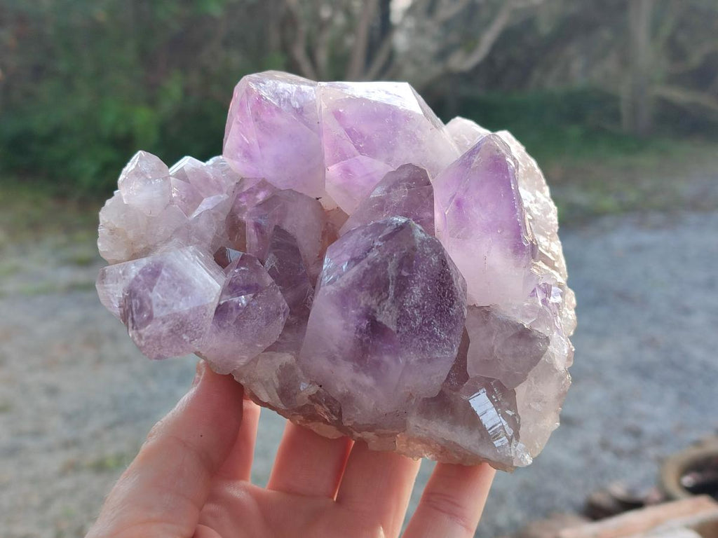 Natural Jacaranda Amethyst Clusters x 2 From Mumbwa, Zambia - Toprock Gemstones and Minerals 