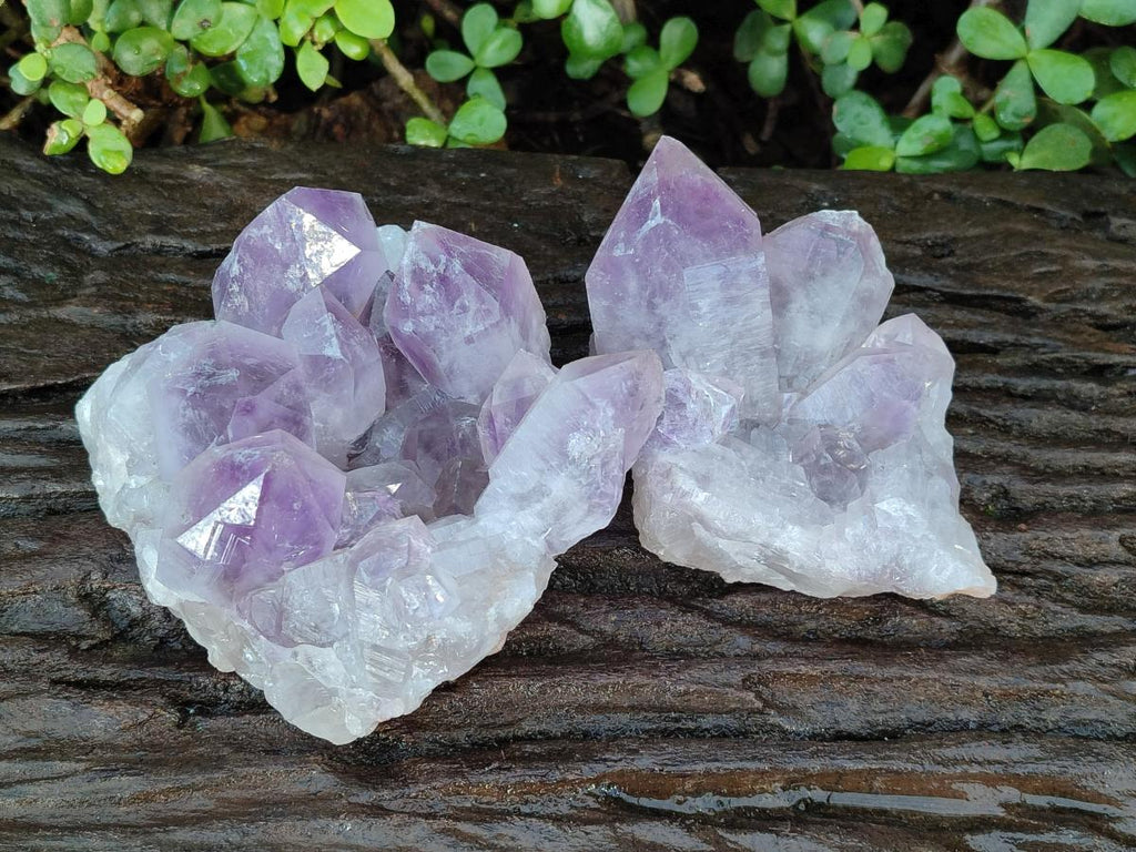 Natural Jacaranda Amethyst Clusters x 2 From Mumbwa, Zambia - Toprock Gemstones and Minerals 