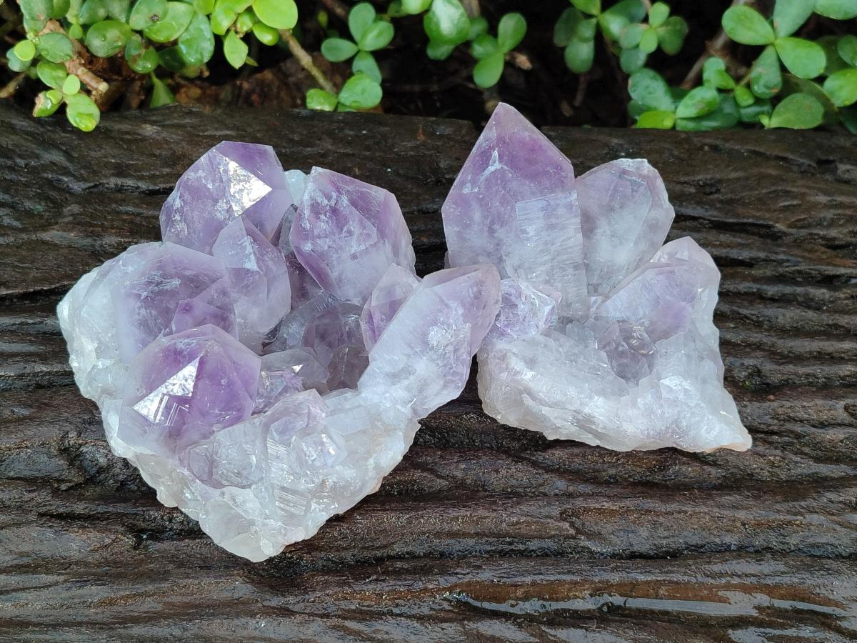 Natural Jacaranda Amethyst Clusters x 2 From Mumbwa, Zambia - Toprock Gemstones and Minerals 