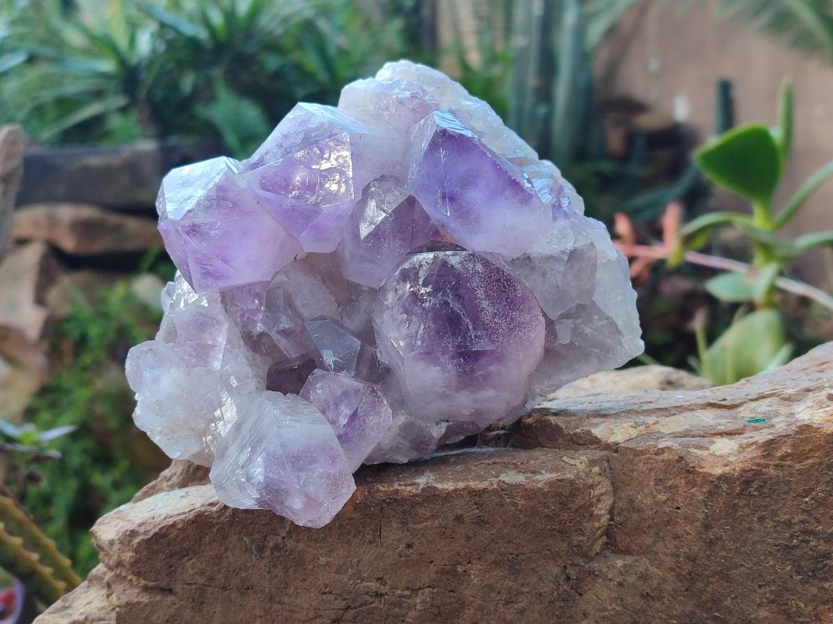 Natural Jacaranda Amethyst Clusters x 2 From Mumbwa, Zambia - Toprock Gemstones and Minerals 