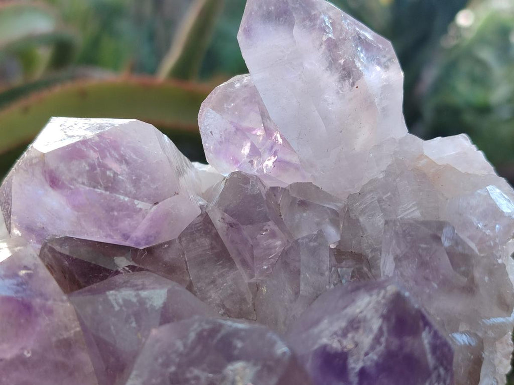 Natural Jacaranda Amethyst Clusters x 2 From Mumbwa, Zambia - Toprock Gemstones and Minerals 