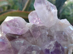 Natural Jacaranda Amethyst Clusters x 2 From Mumbwa, Zambia - Toprock Gemstones and Minerals 