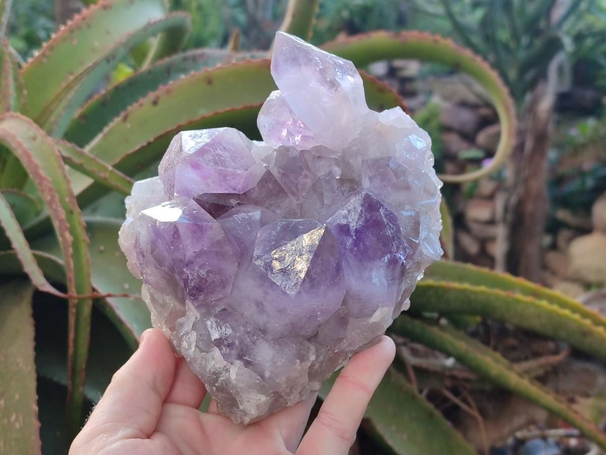 Natural Jacaranda Amethyst Clusters x 2 From Mumbwa, Zambia - Toprock Gemstones and Minerals 