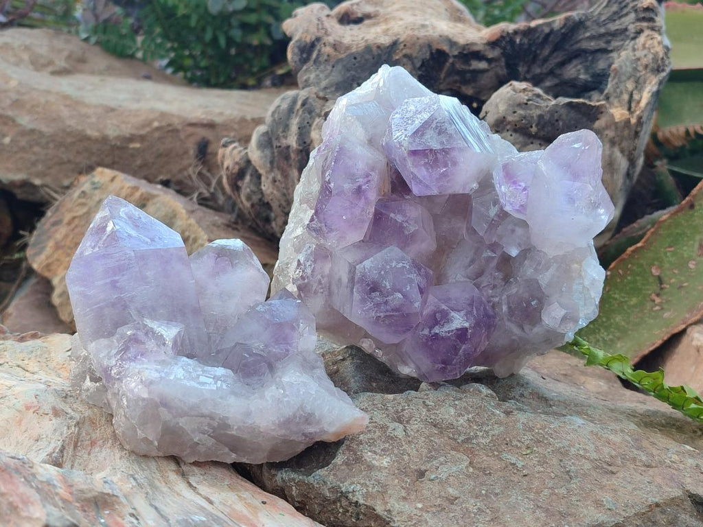 Natural Jacaranda Amethyst Clusters x 2 From Mumbwa, Zambia - Toprock Gemstones and Minerals 