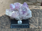 Natural Jacaranda Amethyst Clusters x 2 From Mumbwa, Zambia - Toprock Gemstones and Minerals 