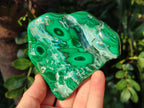 Polished Malacolla Free Forms x 4 From Kulukuluku, Congo - Toprock Gemstones and Minerals 