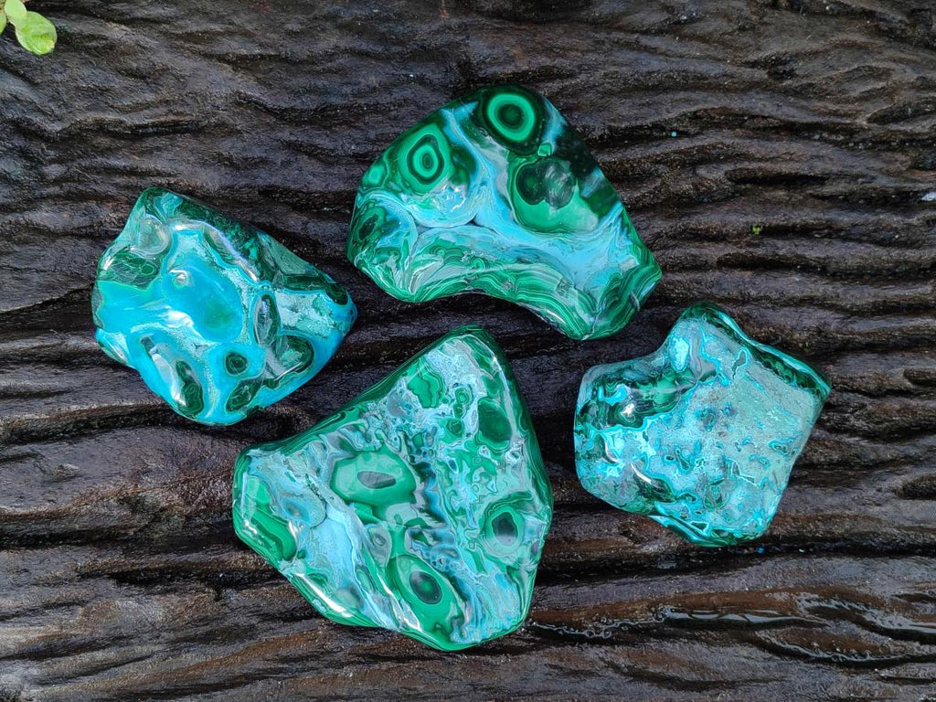 Polished Malacolla Free Forms x 4 From Kulukuluku, Congo - Toprock Gemstones and Minerals 