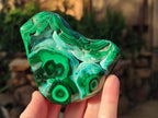 Polished Malacolla Free Forms x 4 From Kulukuluku, Congo - Toprock Gemstones and Minerals 