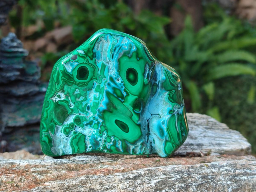 Polished Malacolla Free Forms x 4 From Kulukuluku, Congo - Toprock Gemstones and Minerals 