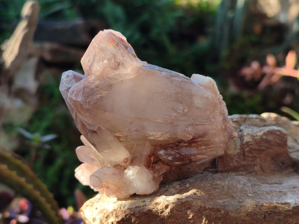 Natural Red Hematoid Quartz Crystal Clusters x 6 From Karoi, Zimbabwe - Toprock Gemstones and Minerals 