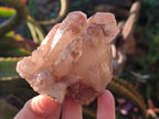Natural Red Hematoid Quartz Crystal Clusters x 6 From Karoi, Zimbabwe - Toprock Gemstones and Minerals 