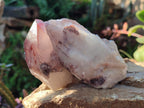 Natural Red Hematoid Quartz Crystal Clusters x 6 From Karoi, Zimbabwe - Toprock Gemstones and Minerals 