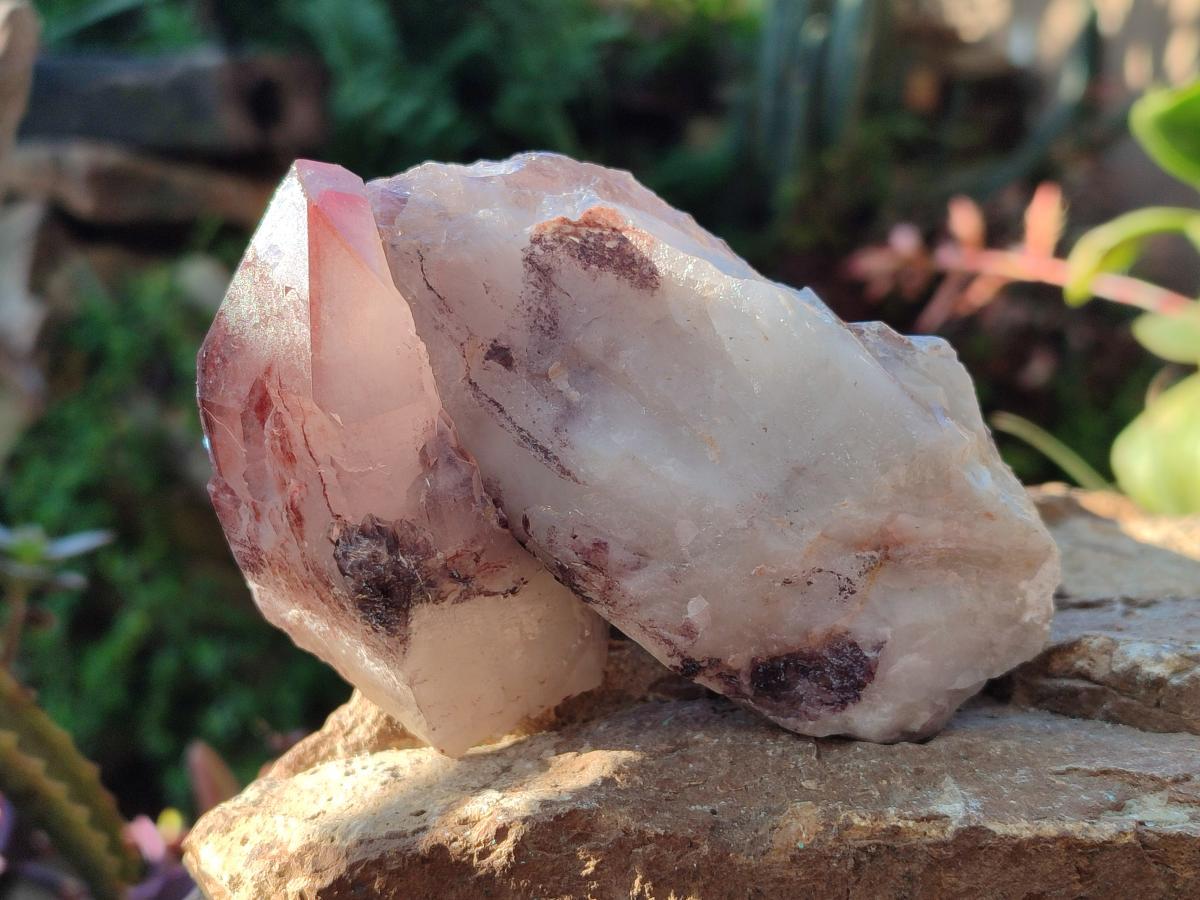 Natural Red Hematoid Quartz Crystal Clusters x 6 From Karoi, Zimbabwe - Toprock Gemstones and Minerals 