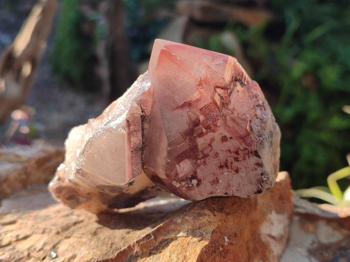 Natural Red Hematoid Quartz Crystal Clusters x 6 From Karoi, Zimbabwe - Toprock Gemstones and Minerals 