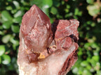 Natural Red Hematoid Quartz Crystal Clusters x 6 From Karoi, Zimbabwe - Toprock Gemstones and Minerals 