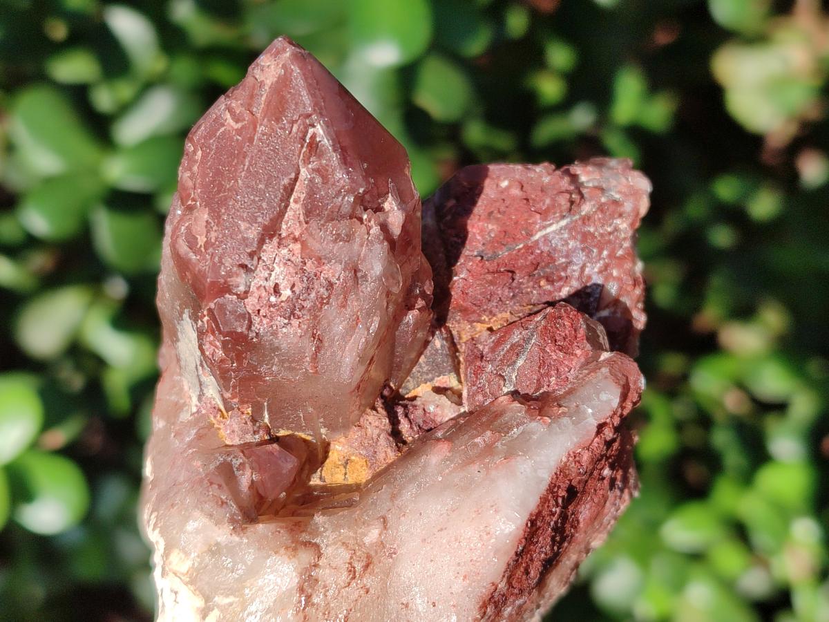 Natural Red Hematoid Quartz Crystal Clusters x 6 From Karoi, Zimbabwe - Toprock Gemstones and Minerals 