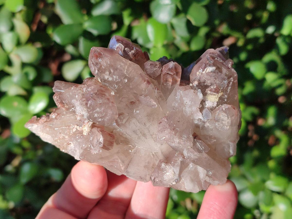 Natural Red Hematoid Quartz Crystal Clusters x 6 From Karoi, Zimbabwe - Toprock Gemstones and Minerals 
