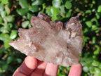 Natural Red Hematoid Quartz Crystal Clusters x 6 From Karoi, Zimbabwe - Toprock Gemstones and Minerals 