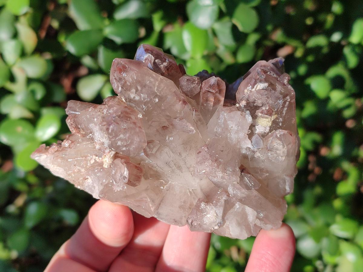 Natural Red Hematoid Quartz Crystal Clusters x 6 From Karoi, Zimbabwe - Toprock Gemstones and Minerals 