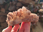 Natural Red Hematoid Quartz Crystal Clusters x 6 From Karoi, Zimbabwe - Toprock Gemstones and Minerals 