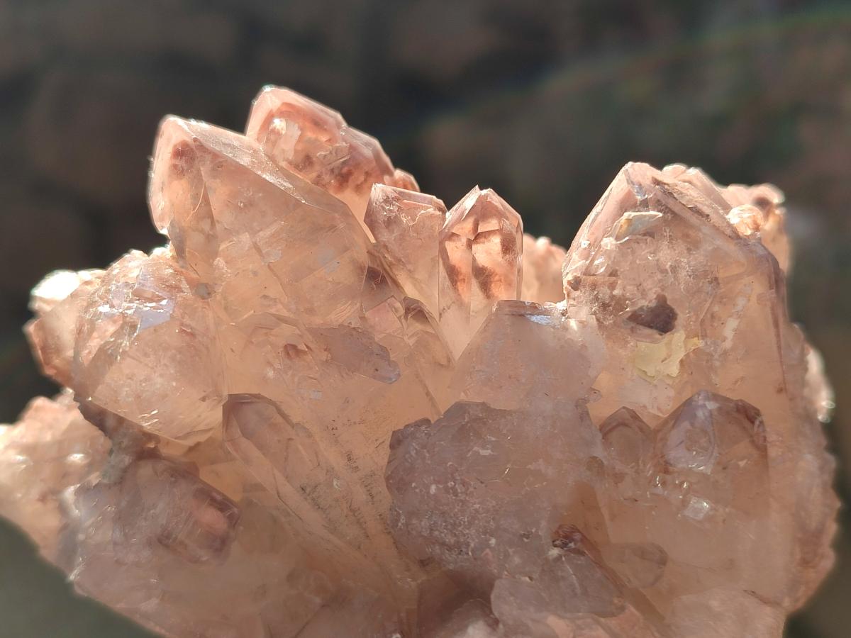 Natural Red Hematoid Quartz Crystal Clusters x 6 From Karoi, Zimbabwe - Toprock Gemstones and Minerals 