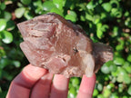Natural Red Hematoid Quartz Crystal Clusters x 6 From Karoi, Zimbabwe - Toprock Gemstones and Minerals 