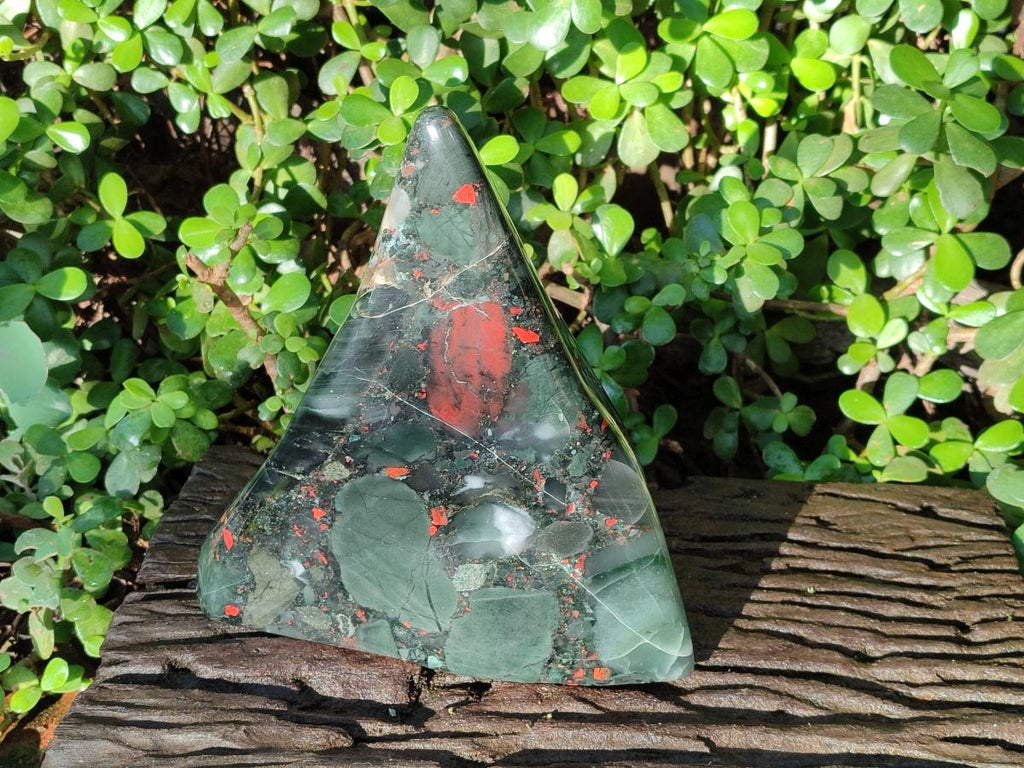 Polished Large Bloodstone Standing Display Piece x 1 From Swaziland - Toprock Gemstones and Minerals 