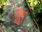 Polished Large Bloodstone Standing Display Piece x 1 From Swaziland - Toprock Gemstones and Minerals 