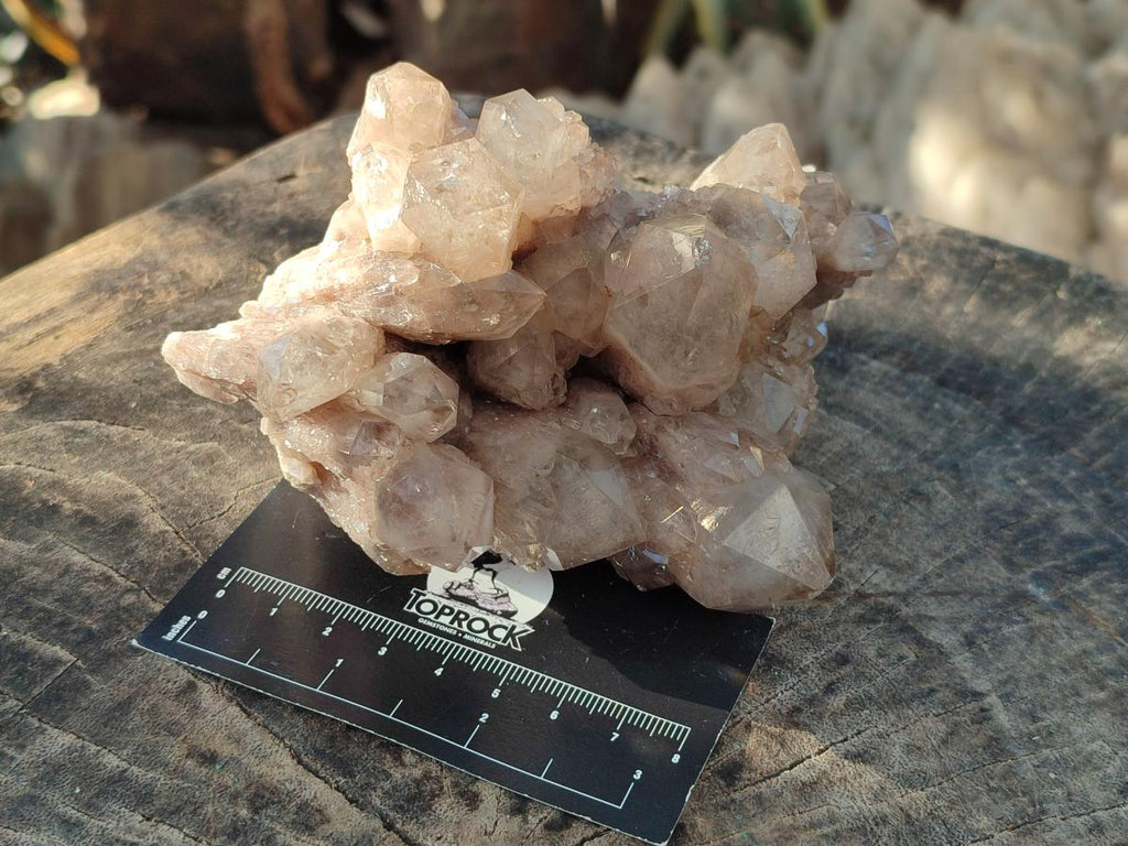 Natural Cascading White Phantom Smokey Luena Quartz Clusters x 2 From Luena, Congo - Toprock Gemstones and Minerals 