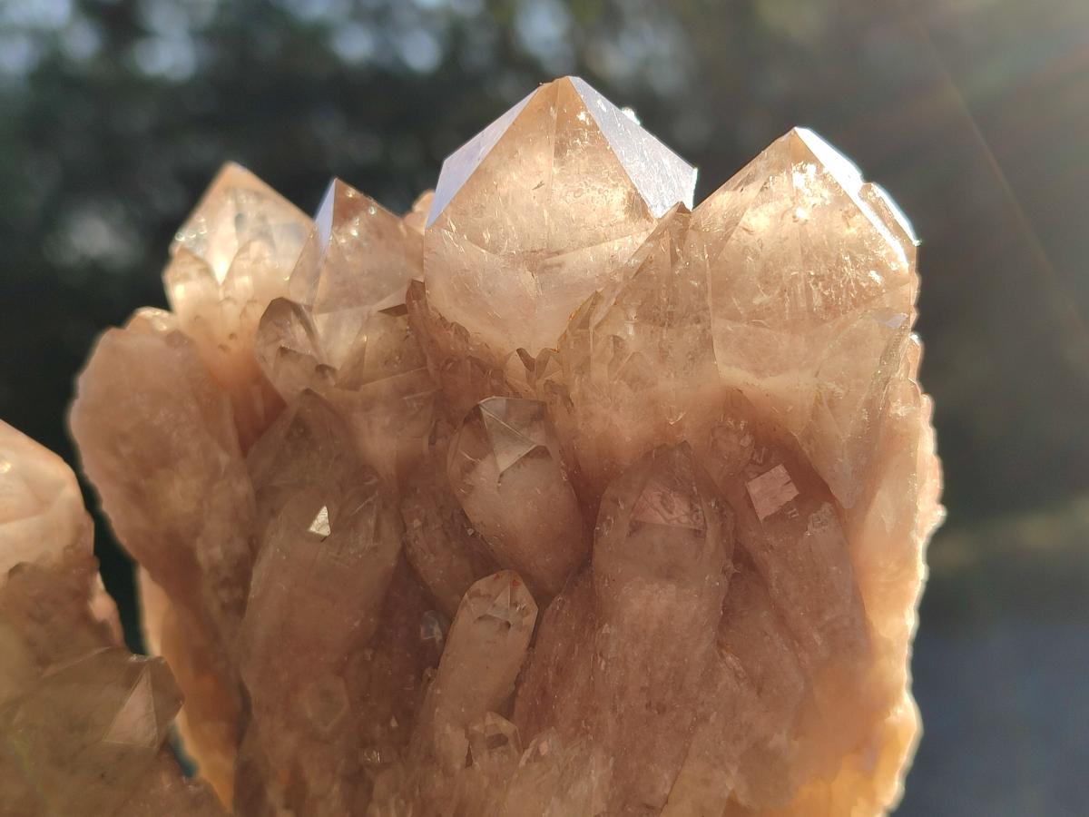 Natural Cascading White Phantom Smokey Luena Quartz Clusters x 2 From Luena, Congo - Toprock Gemstones and Minerals 