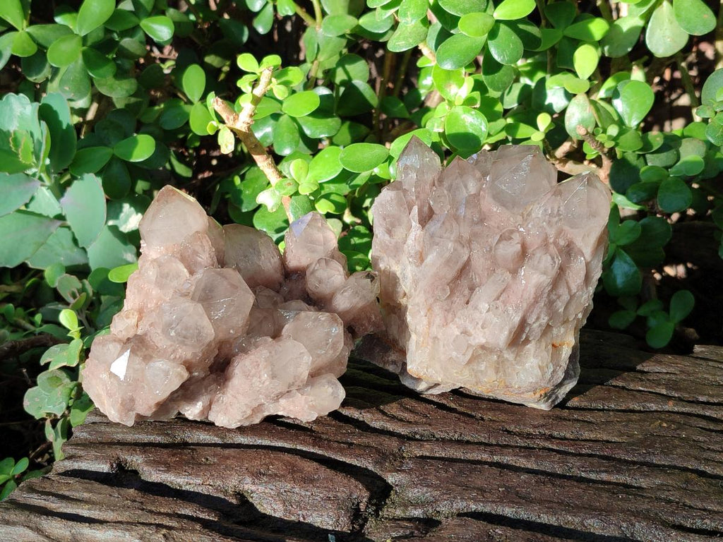 Natural Cascading White Phantom Smokey Luena Quartz Clusters x 2 From Luena, Congo - Toprock Gemstones and Minerals 