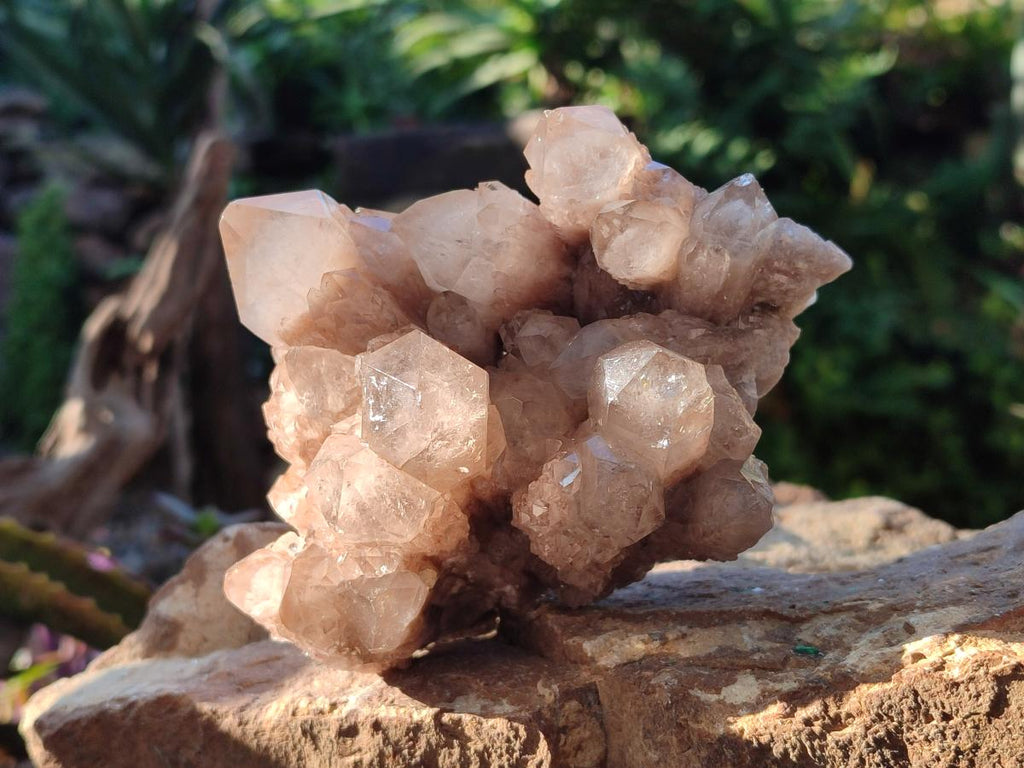 Natural Cascading White Phantom Smokey Luena Quartz Clusters x 2 From Luena, Congo - Toprock Gemstones and Minerals 
