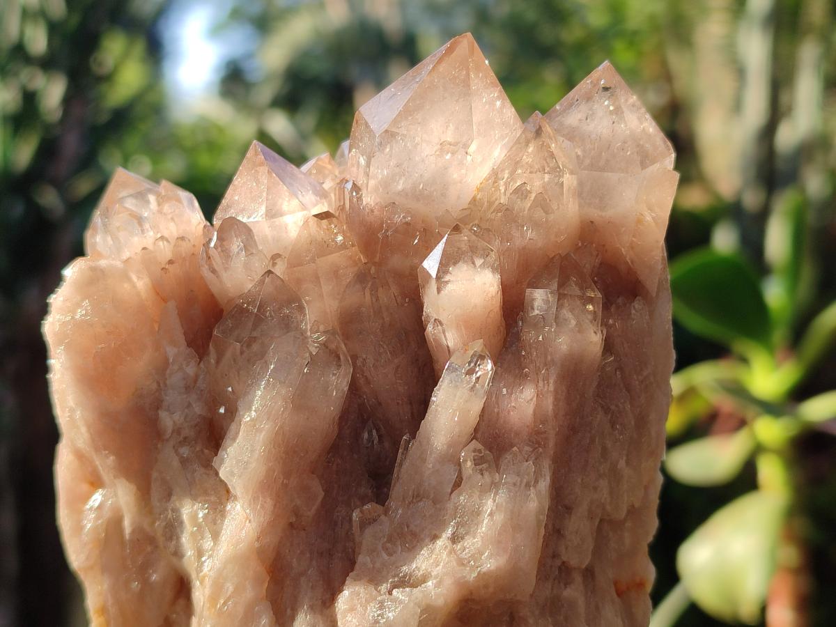 Natural Cascading White Phantom Smokey Luena Quartz Clusters x 2 From Luena, Congo