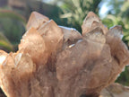 Natural Cascading White Phantom Smokey Luena Quartz Clusters x 2 From Luena, Congo - Toprock Gemstones and Minerals 